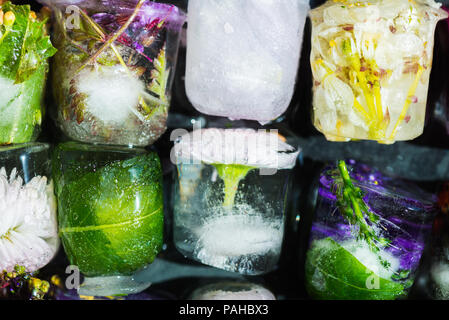 Frozen Spring Fleurs dans des cubes de glace sur fond sombre Banque D'Images