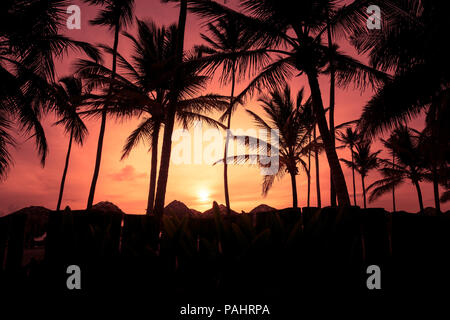 Silhouettes de palmiers sur la plage tropicale à chaud de l'été l'heure du coucher du soleil éclatant. Banque D'Images