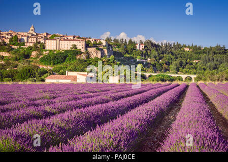 Sault, village perché en Provence avec champs de lavande, Vaucluse en France. Banque D'Images
