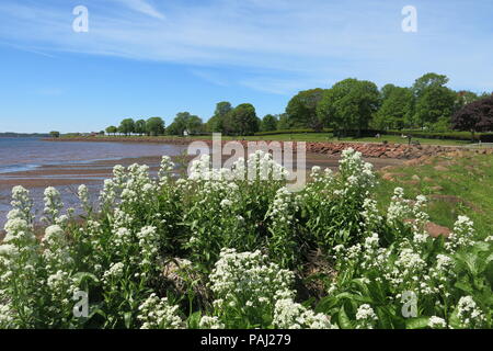 Vue du jardin de Beaconsfield Historic House vers le rivage promenade et de l'espace vert du parc Victoria, à Charlottetown, Î. Banque D'Images