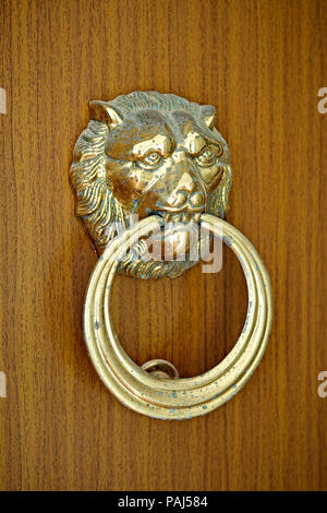 Bague tête de lion et knockdoor sur porte en bois Banque D'Images