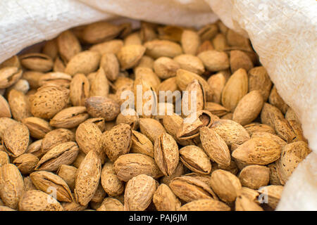Les amandes dans le shell. Banque D'Images