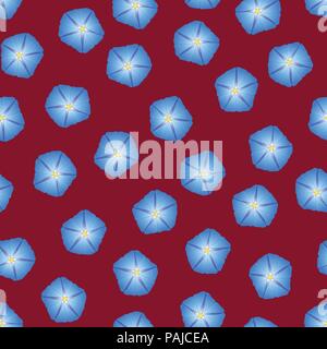 Gloire du Matin Bleu fleur sur fond rouge. Vector Illustration. Illustration de Vecteur