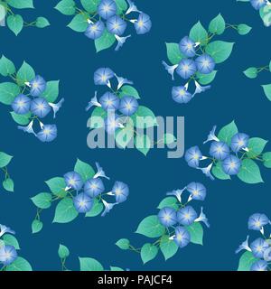 Gloire du matin bleu vert sur fond bleu sarcelle. Vector Illustration. Illustration de Vecteur