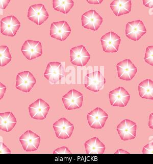 Morning Glory rose fleur sur fond rose. Vector Illustration. Illustration de Vecteur