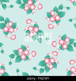 Gloire du matin Rose sur fond de menthe verte. Vector Illustration. Illustration de Vecteur
