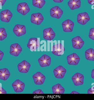 Purple Morning Glory fleur sur fond bleu sarcelle vert. Vector Illustration. Illustration de Vecteur