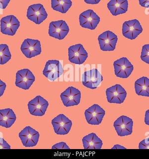 Purple Morning Glory fleur sur fond orange. Vector Illustration. Illustration de Vecteur