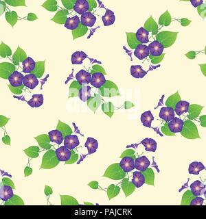 Gloire du matin violet sur fond ivoire Beige. Vector Illustration. Illustration de Vecteur