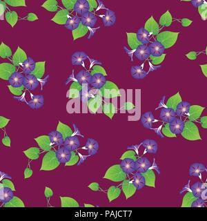 Gloire du matin violet sur fond violet. Vector Illustration. Illustration de Vecteur