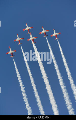 CASA C-101EB Aviojets d'Espagne - Air Force Patrulla Aguila Acrobatica volant en formation avec la fumée au salon aéronautique de Dubaï 2007 Banque D'Images