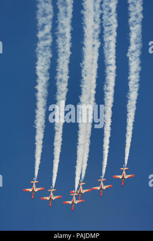 CASA C-101EB Aviojets d'Espagne - Air Force Patrulla Aguila Acrobatica volant en formation avec la fumée au salon aéronautique de Dubaï 2007 Banque D'Images