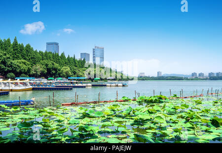 La ville de Nanjing, Chine, Lac Xuanwu district financier. Banque D'Images