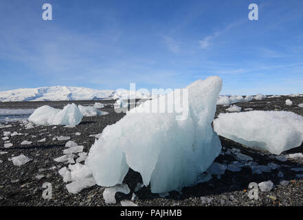 Iceburgs sur une plage de sable noir en Islande Banque D'Images