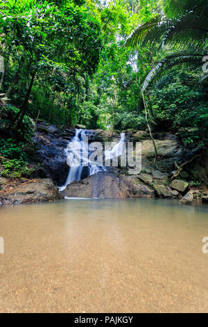 Cascade de Kathu dans une forêt tropicale en journée ensoleillée. Phuket, Thaïlande Banque D'Images