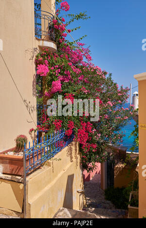 La floraison sur les bougainvillées villa dans village d'Assos. Céphalonie, îles Ioniennes, Grèce. Banque D'Images