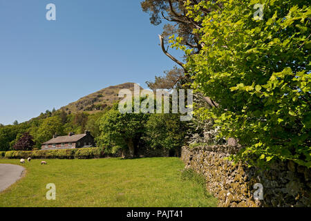 HELM Crag près de Grasmere au printemps Cumbria Lakedistrict Lake District National Park Angleterre Royaume-Uni Grande-Bretagne Banque D'Images