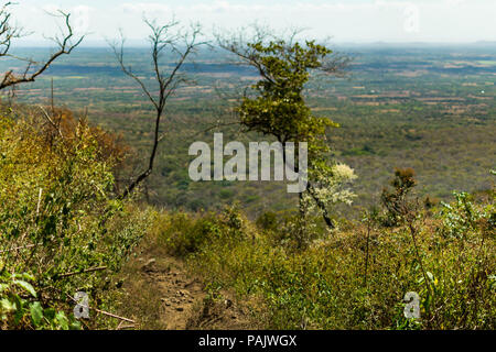 Vue depuis le sommet d'une montagne près de Volcan Telica, Nicaragua Banque D'Images