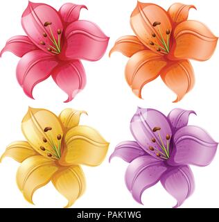 Un ensemble de lily fleurs illustration Illustration de Vecteur