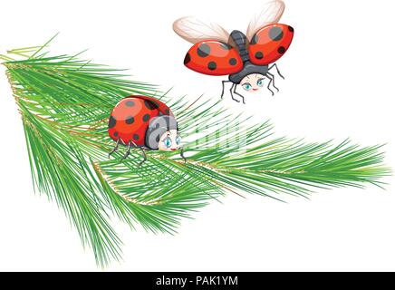 Coccinelle à pine tree branch illustration Illustration de Vecteur