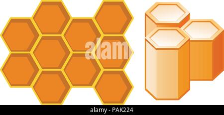 Vues avant et latérale de l'illustration d'abeilles Illustration de Vecteur