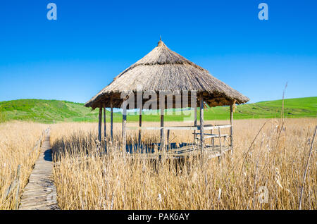 Bois et reed hut dans un champ de roseaux avec un vieux chemin de bois et de vertes collines sur le bacground Banque D'Images