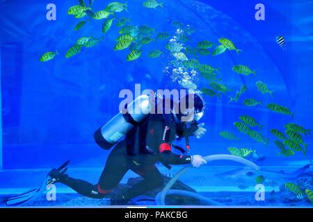 Shanghai, Shanghai, Chine. 24 juillet, 2018. Shanghai, Chine - Le Shanghai Ocean Park s'ouvre à Shanghai, la Chine de l'est la province de Shandong. Crédit : SIPA Asie/ZUMA/Alamy Fil Live News Banque D'Images