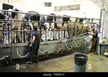 Beijing, Chine. Mar 23, 2018. Photo prise le 23 mars, 2018 employés montre la traite des vaches par le matériel de traite automatique à Fair Oaks Farms à Fair Oaks, Indiana, aux États-Unis. Credit : Wang Ping/Xinhua/Alamy Live News Banque D'Images