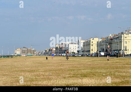 Brighton UK 24 Juillet 2018 - Les pelouses à Brighton Hove desséchée regarder tôt ce matin que la canicule se poursuit tout au long de certaines parties de la Grande-Bretagne avec un avertissement sur l'ambre et les gens étant conseillé de rester en dehors du soleil pendant les plus chaudes de la journée Crédit : Simon Dack/Alamy Live News Banque D'Images