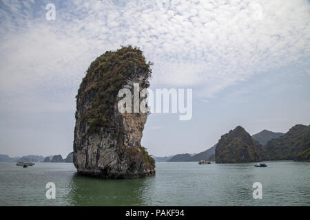 Ha Long, Ha Long, la Chine. 24 juillet, 2018. Vietnam-Ha Long Bay est un site classé au patrimoine mondial et populaire destination touristique dans la province de Quang Ninh, Vietnam. La baie contient des milliers d'îles calcaires et karstiques dans diverses formes et tailles. Ha Long Bay est un centre d'une zone plus vaste qui comprend la baie Bai Tu Long au nord-est, et l'Ile de Cat Ba au sud-ouest. Ces zones plus partagent une même géographique, géologique, géomorphologique, le climat, et la culture des caractères. Crédit : SIPA Asie/ZUMA/Alamy Fil Live News Banque D'Images