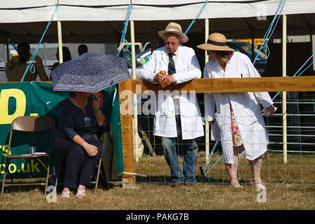 New Milton, Hampshire, Royaume-Uni. 24 juillet 2018. Les foules affluent pour le premier jour de la Nouvelle Forêt & Hampshire County Show. Credit : Carolyn Jenkins/Alamy Live News Banque D'Images