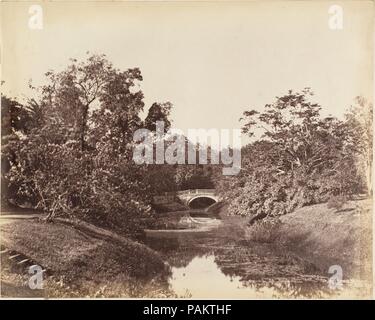 [Jardin Botanique, Calcutta]. Artiste : le capitaine R. B. Hill. Dimensions : 19,6 x 24,3 Image : cm (7 11/16 x 9 9/16 in.) Mont : 21,1 x 28 cm (8 5/16 x 11 in.). Date : 1850. Musée : Metropolitan Museum of Art, New York, USA. Banque D'Images