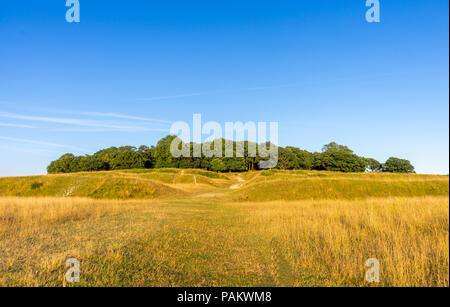 Vue de la partie supérieure de Badbury Rings en juillet 2018 - une commune dans l'est de Dorset, Angleterre, RU Banque D'Images