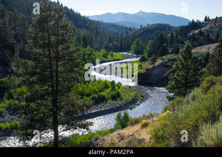 Winding River près de Markleeville, un endroit populaire pour la pêche à la mouche et les loisirs. Banque D'Images