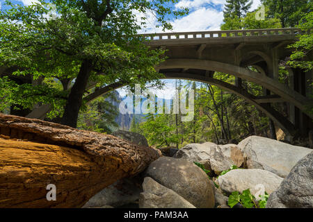 Arbre mort et la forêt sous une arche au pont au-dessus du ruisseau Cascade - Yosemite National Park Banque D'Images