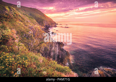 Ciel rose au lever du soleil en été le long de la magnifique côte sauvage près de Cornwall, UK, Polperro Banque D'Images