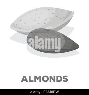 Les amandes.Différents types de noix seule icône style monochrome en stock symbol vector illustration web. Illustration de Vecteur