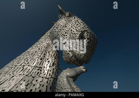 L'emblématique Kelpies sculpture par Andy Scott forme une passerelle à l'avant et Clyde bassin du canal à Helix Park près de Falkirk, Ecosse, Royaume-Uni Banque D'Images