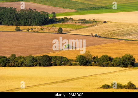 La récolte moderne, moissonneuse-batteuse, travaillant sur les champs colorés, de belles lignes, vue aérienne. Banque D'Images