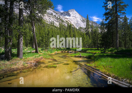 Piscine cristalline dans un pré le long du ruisseau Tenaya, avec pic de montagne de granit au-dessus - Yosemite National Park Banque D'Images