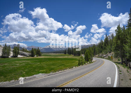 Tuolumne Meadows, vert paysage de montagnes au loin sur l'autoroute 120, Tioga Pass - Yosemite National Park Banque D'Images