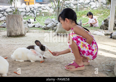 Peu asiatique Chinese Girl Nourrir un lapin aux carottes à l'Outdoor Farm Banque D'Images