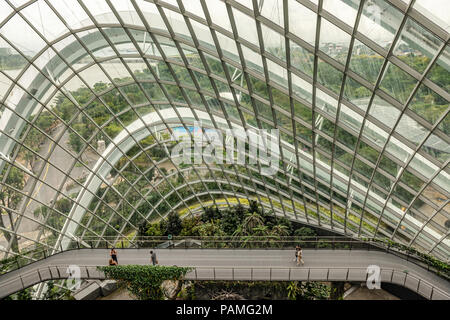 Singapour 11 Jan, 2018 : les touristes visitant cloud forest dome conservatory à Gardens by the Bay à Singapour. C'est montagne artificielle sous verre roo Banque D'Images