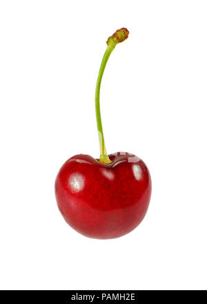 Seul rouge cerise (Prunus avium) fruit isolé sur fond blanc Banque D'Images