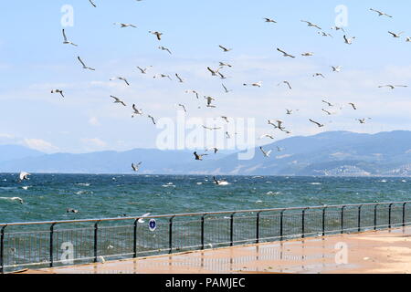 Mudanya, Turquie. Scène portuaire à Mudanya sur la mer de Marmara Banque D'Images