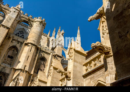 Cloître de parc des expositions de Narbonne Cathédrale de Narbonne, Aude, Occitanie, France, Europe Banque D'Images