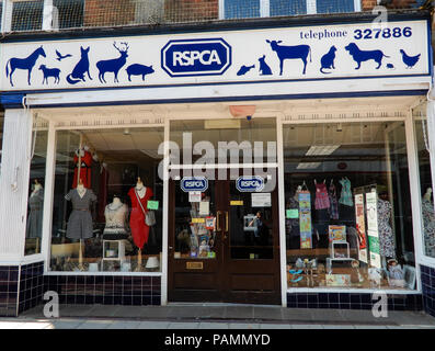 Basingstoke, Royaume-Uni - 05 juillet 2018 : l'entrée principale de la RSPCA Magasin de charité dans London Street Banque D'Images