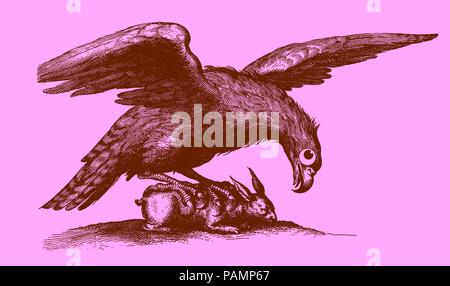 Cute predator : aigle aux ailes étendues assis sur un lapin. Illustration après une gravure sur bois historique du 17ème siècle. Facile Illustration de Vecteur