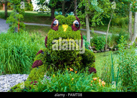 Sculpture vivante d'une grenouille fait de plantes et de fleurs dans un parc Banque D'Images