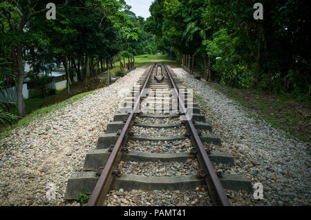 Ancienne voie ferrée que l'impasse sur un chemin de randonnée dans la réserve naturelle de Bukit Timah, Singapour Banque D'Images